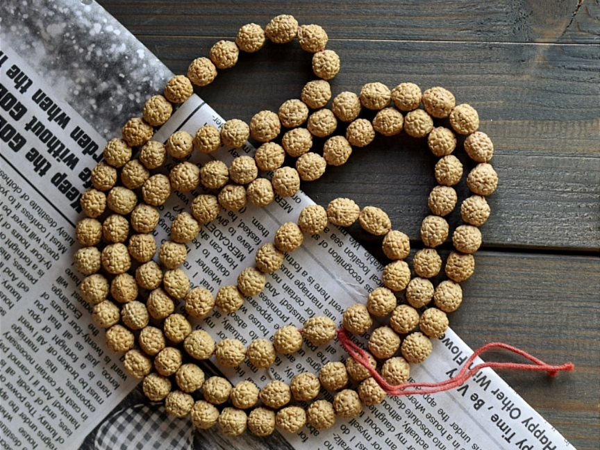 رودراکشا چیست